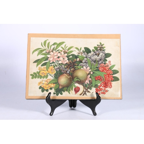 446 - Well painted 19th century Chinese pith paper painting, depicting fruits and multiple flowers, 19cm x... 