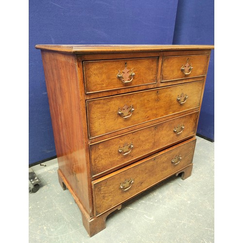 536 - 19th century two over three bachelor's chest of drawers with quarter cut burr walnut veneer, raised ... 