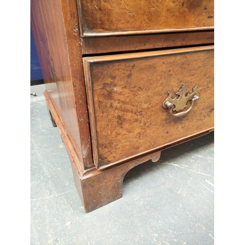 536 - 19th century two over three bachelor's chest of drawers with quarter cut burr walnut veneer, raised ... 