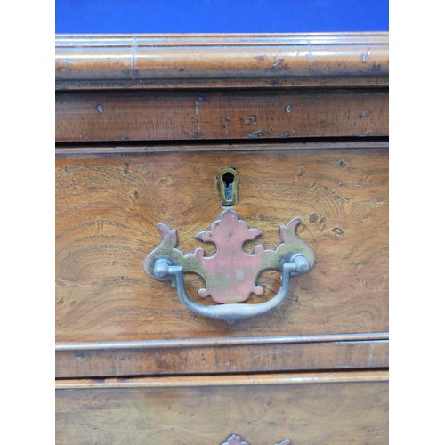 536 - 19th century two over three bachelor's chest of drawers with quarter cut burr walnut veneer, raised ... 