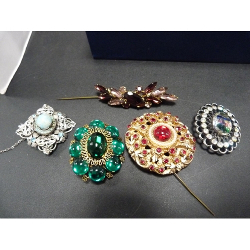 229 - Box containing costume jewellery including brooches, Scottish brooch, Victorian seed pearl and eboni... 