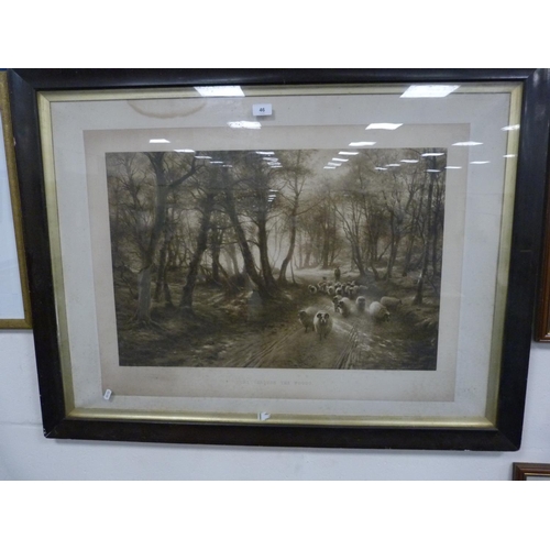 46 - Framed print, 'Home Through the Woods'.