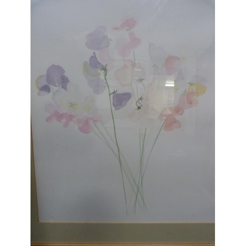 54 - Virginia FitzRoyFour floral studiesWatercolour.
