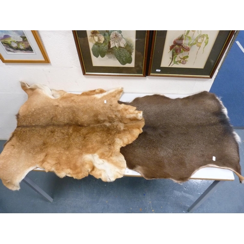61 - Animal skin rugs.  (2)