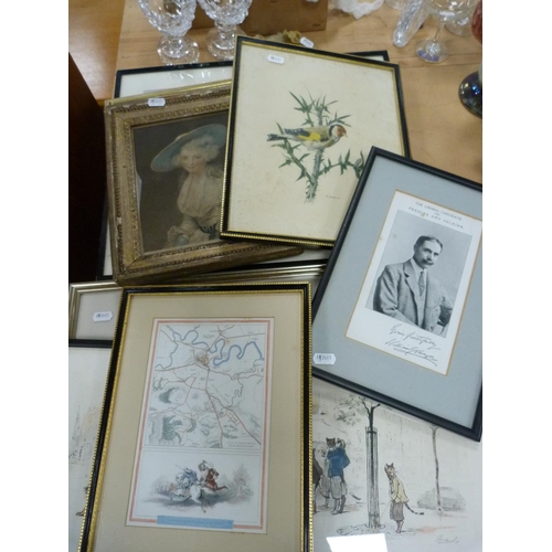 62 - Group of assorted prints and pictures including Victorian print engraving of a female, portrait of t... 