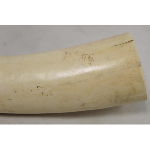 336 - Late 19th/early 20th century African carved ivory pipe with mask terminal and ribbing to body, 45cm ... 