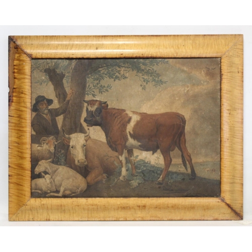 361 - 19th century hand coloured engraving of cattle and sheep, 36cm x 49cm, in maple frame; also another ... 