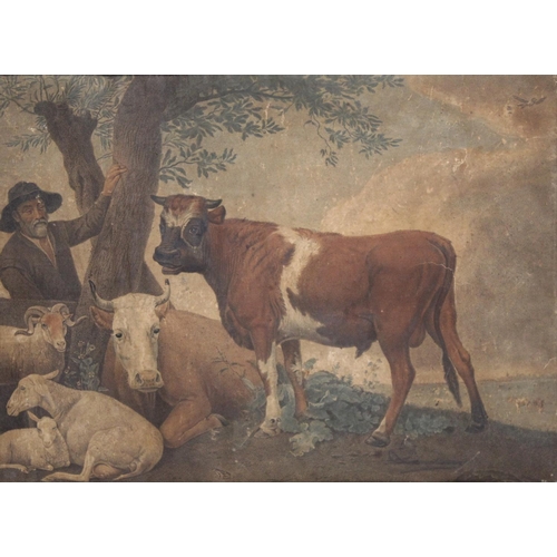 361 - 19th century hand coloured engraving of cattle and sheep, 36cm x 49cm, in maple frame; also another ... 