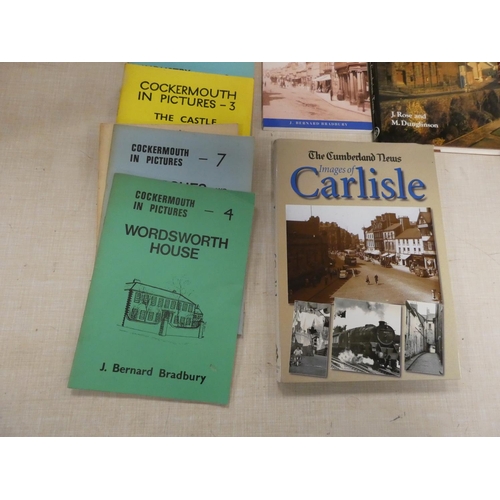 141 - Cumbrian Towns. 15 books & softback publications re. Cockermouth & other Cumberland towns.... 