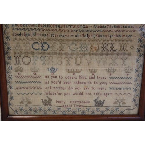 401 - 19th century petit point sampler worked in polychrome threads on natural linen ground, by Mary Champ... 