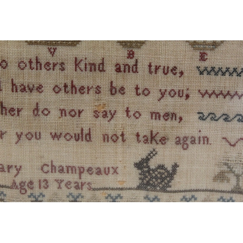 401 - 19th century petit point sampler worked in polychrome threads on natural linen ground, by Mary Champ... 