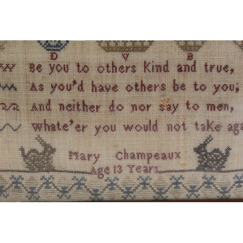 401 - 19th century petit point sampler worked in polychrome threads on natural linen ground, by Mary Champ... 