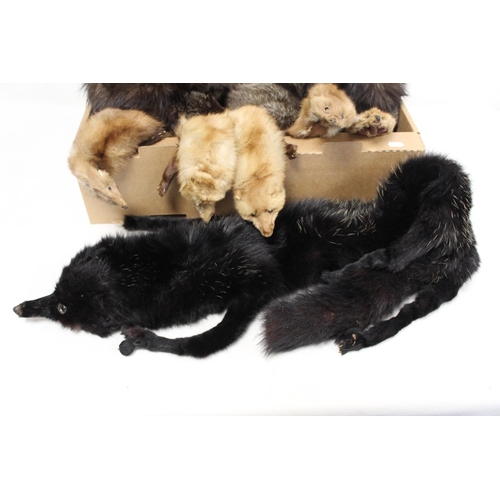 424 - Seven various vintage fur stoles, the largest 135cm long.