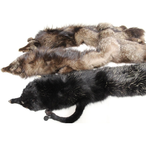 424 - Seven various vintage fur stoles, the largest 135cm long.