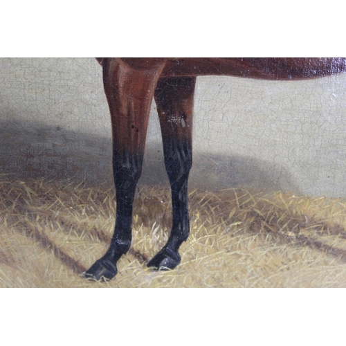 166 - Albert Clark (British 1843-1928).Portrait of a bay horse standing in a stable with initials J.R. on ... 