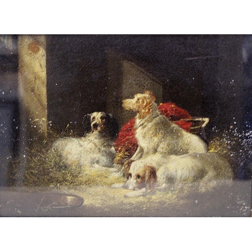 174 - T. Hopper (Victorian School).Group of setters in a kennel.Oil on panel.23.5cm x 31.5cm.Signed verso,... 