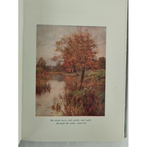 3 - CRANE WALTER.  Queen Summer or the Journey of the Lily & the Rose. Col. illus. & decs. throu... 