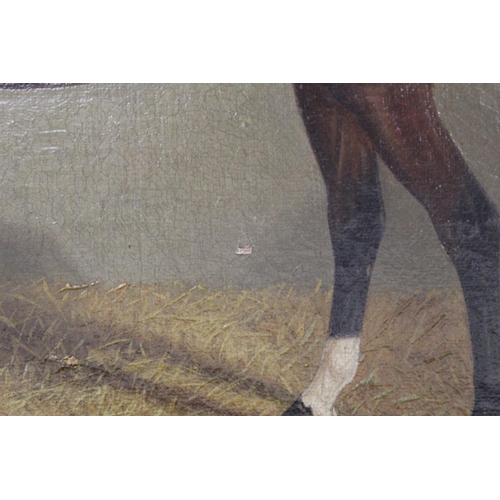 166 - Albert Clark (British 1843-1928).Portrait of a bay horse standing in a stable with initials J.R. on ... 