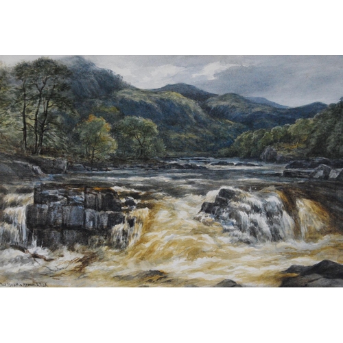 Lot 219       