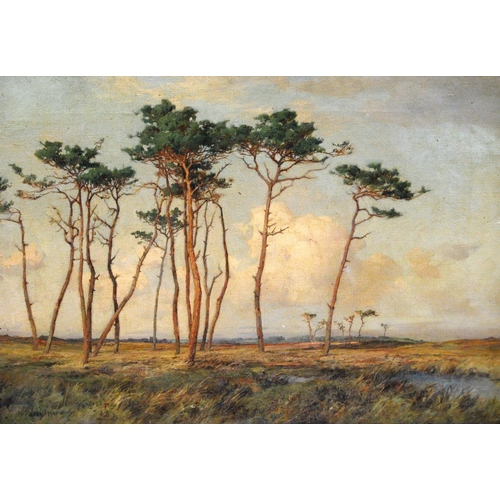 Lot 220       