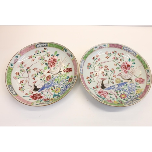 15 - Pair of 19th century Chinese plates decorated with birds of paradise amongst prunus flowers, 22cm di... 