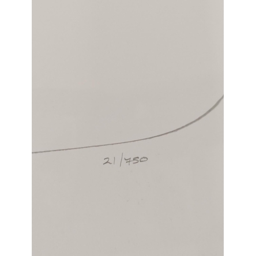 209 - Robert Taylor- Air Combat Paintings Vol II limited edition book featuring Taylor's works. Signed to ... 