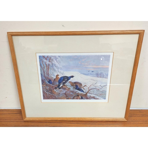 301 - THORBURN ARCHIBALD.  Black Game & another. Pair of framed col. prints, pencil signed b... 