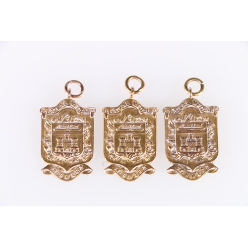 292 - Three 9ct gold Cowal Games medals [DAILY RECORD 1930 GLASGOW SHEPHERDS PB G T MURRAY], [GLASGOW EVEN... 