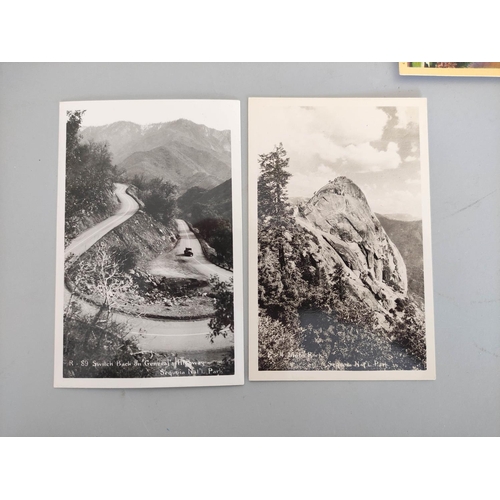 198 - Carton containing over 600 early to mid 20th century postcards mostly of American cityscapes and vie... 