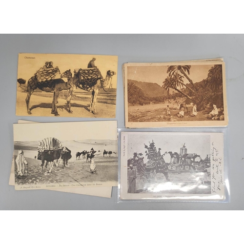 203 - Bag containing over 100 early 20th century postcards mostly of egyptian, Indian & middle eastern... 
