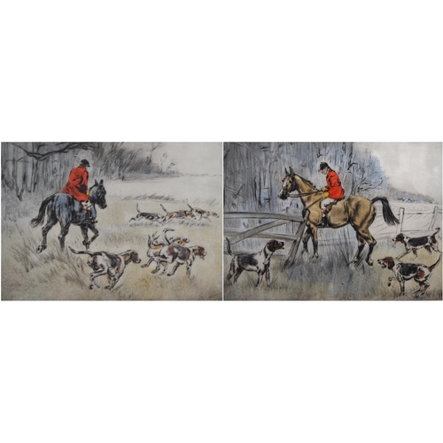 Lot 234       