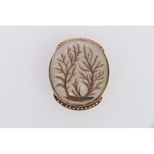 138 - Georgian unhallmarked yellow metal mounted oval brooch containing needlework depicting young sapling... 