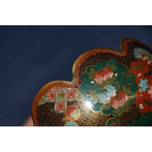 392 - A Japanese cloisonne bowl with petal edge and gilt metal wires, decorated with various shaped panels... 