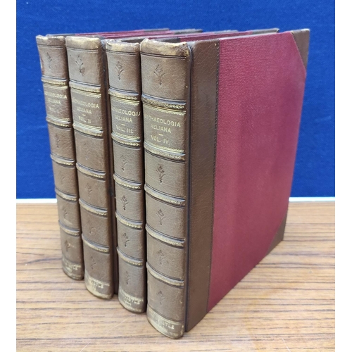Lot 209       