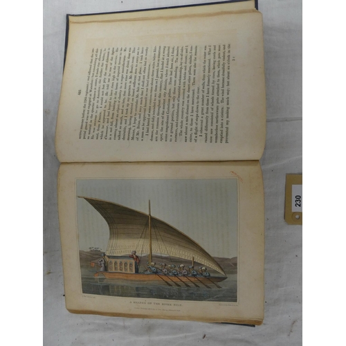 Lot 230       