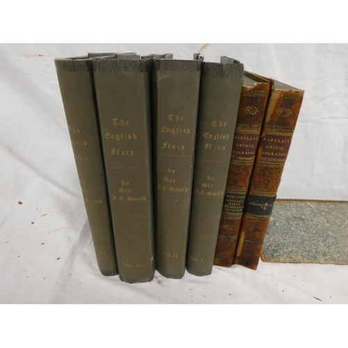 Lot 255       