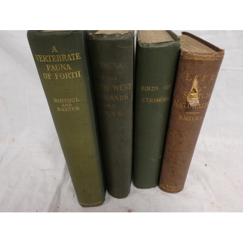 Lot 258       