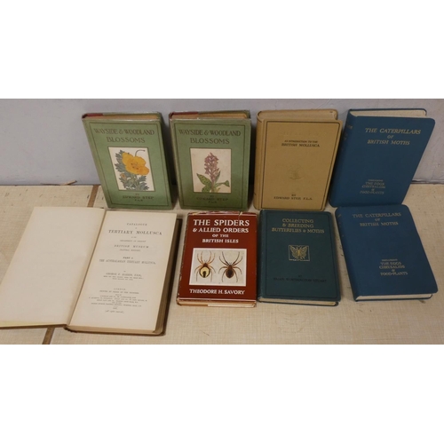 Lot 274       