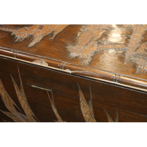 719 - Chinese carved camphorwood blanket box, 94cm wide.