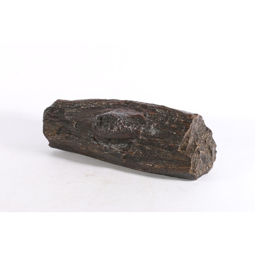 403 - Fossilised tree trunk section or petrified wood, 34cm long. 