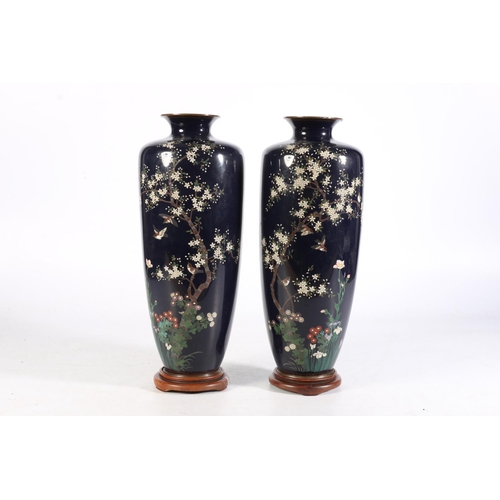 464 - Pair of Chinese cloisonné blue ground vases on white metal, the bodies decorated with birds amongst ... 