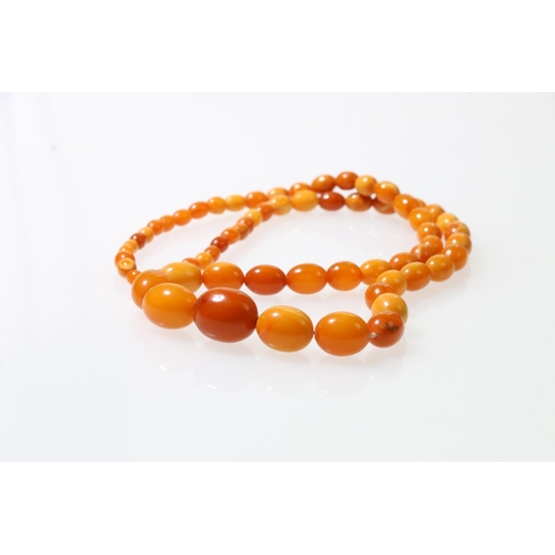 135 - Single strand of butterscotch amber beads, 58cm long.