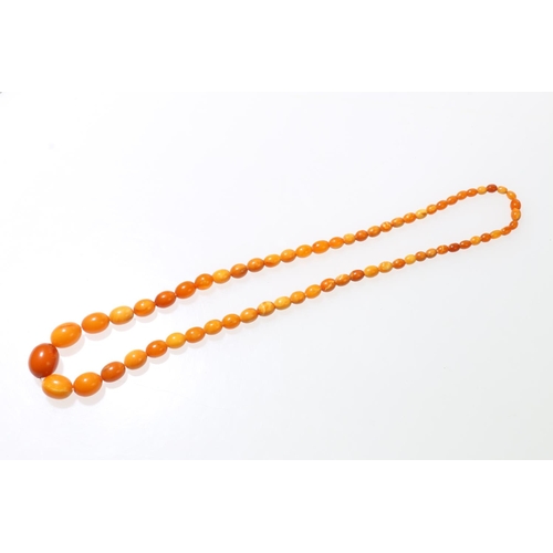 135 - Single strand of butterscotch amber beads, 58cm long.