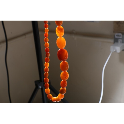 135 - Single strand of butterscotch amber beads, 58cm long.