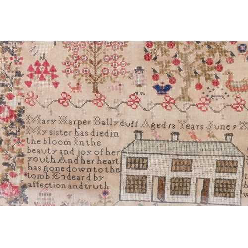 424 - Early Victorian Irish needlework sampler by Mary Harper of Ballyduff (Ireland) aged 13 dated 9th Jun... 