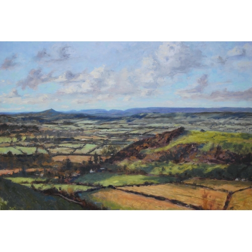 259 - Laurence J Belbin (20th Century)FarmlandsSigned, oil on MDF board, 149cm x 93.5cm, unframed.... 