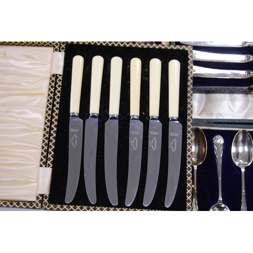 101 - Cased cutlery to include butter knives and coffee spoons, also a cutlery tray containing loose cutle... 