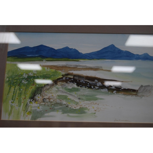 32 - Jim NicholsonScottish island sceneSigned, pen and watercolour wash.