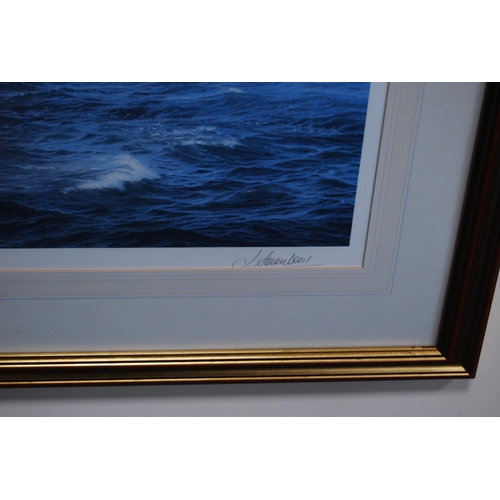 4 - J Steven Dews SailingPencil signed print.