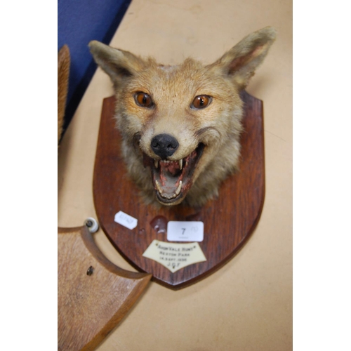 7 - Taxidermy fox head on an oak plinth, 'Avon Vale Hunt, Neston Park, 14th September 1938', label to th... 